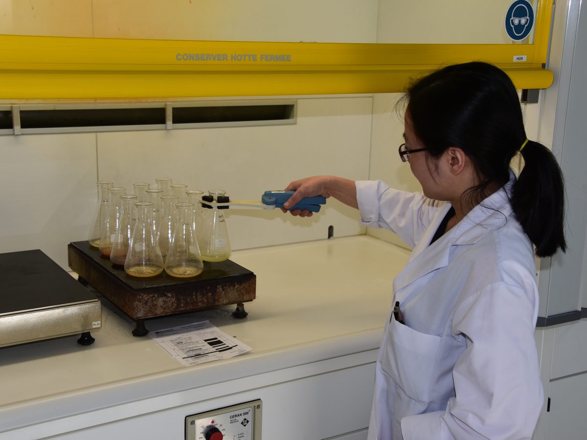 Bachelet Laboratories