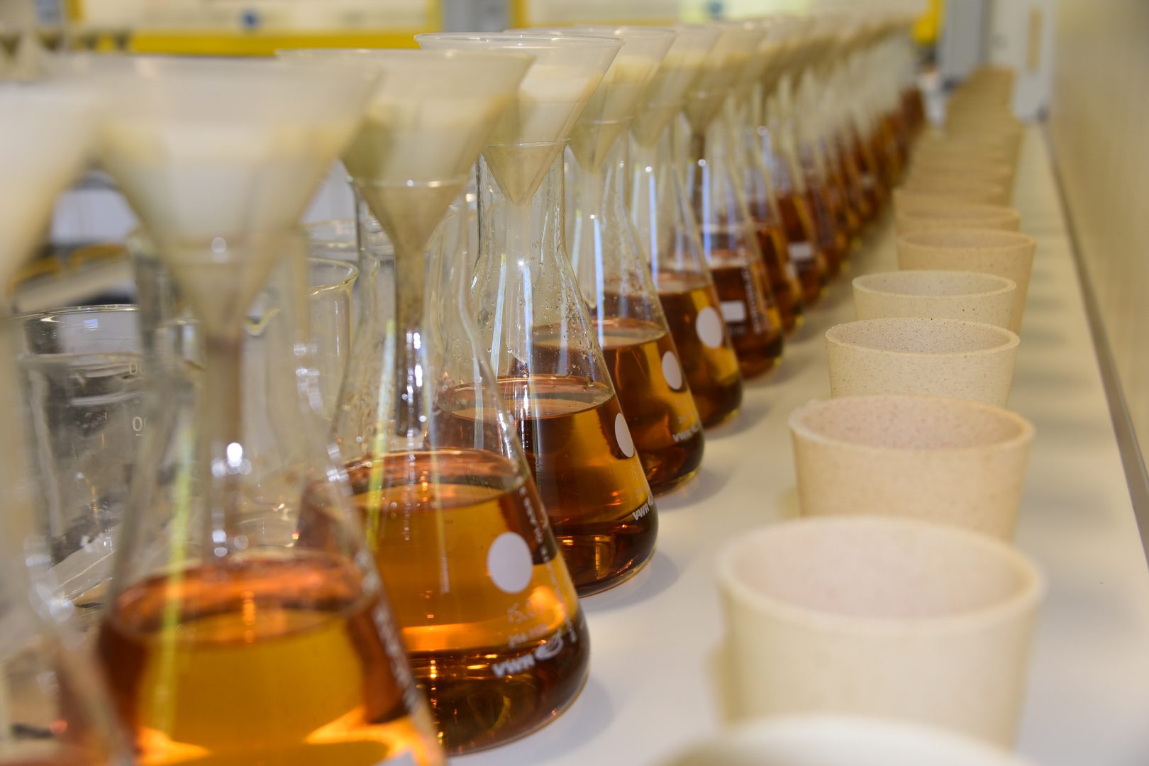 Bachelet Laboratories