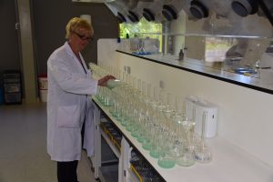 Bachelet Laboratories